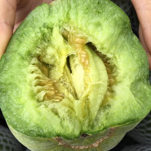 绿宝石脆皮甜瓜5斤彩箱装47个中大果