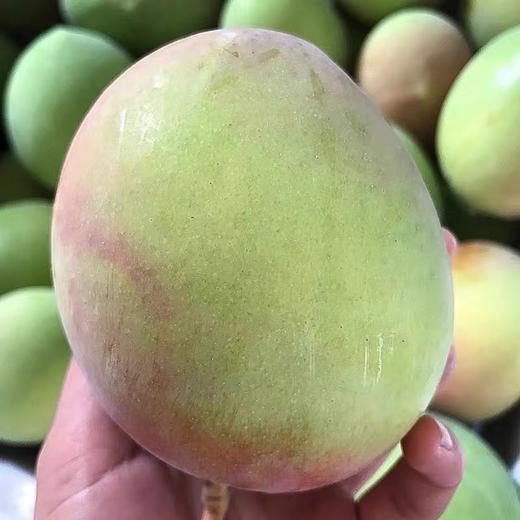 【正宗】攀枝花苹果芒 爱文芒果 芒果中的plus