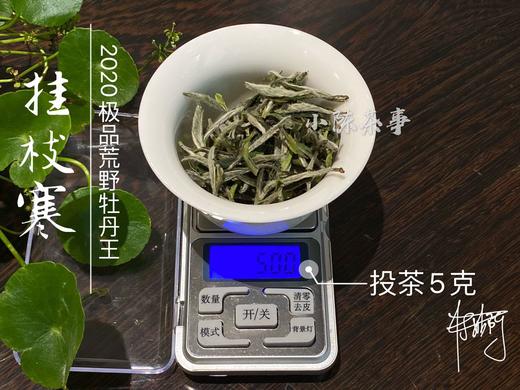 2020荒野牡丹王中的特级（60克罐装），花香与毫香中蕴在挂枝寒意里的温柔汤 商品图8