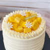 蛋糕 芒果奶油蛋糕（为造型稳定，外层奶油需用到食品级塑料围边包裹） 商品缩略图1