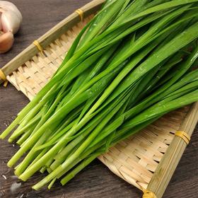 【城·食配】韭菜   约250克/份