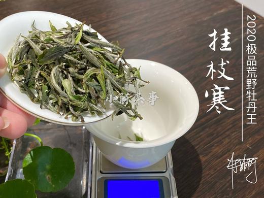 2020荒野牡丹王中的特级（60克罐装），花香与毫香中蕴在挂枝寒意里的温柔汤 商品图4