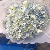 配花-绣球-浅蓝-1枝/扎 商品缩略图0