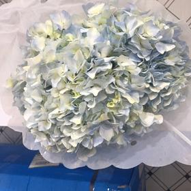 配花-绣球-浅蓝-1枝/扎