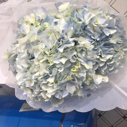 配花-绣球-浅蓝-1枝/扎 商品图0