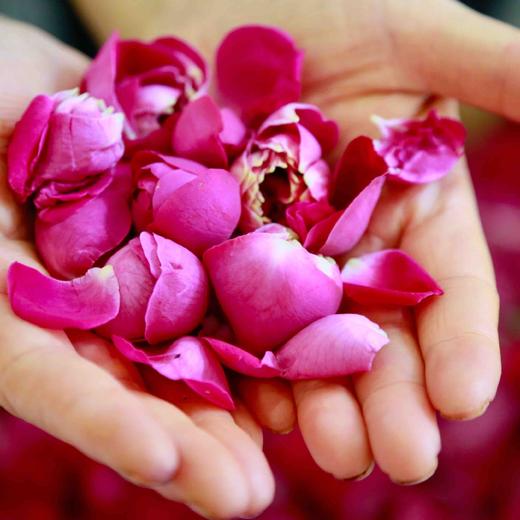 【新增蛋黄酥饼】【云南鲜花饼 预售3天】新鲜现烤新鲜发 手工现烤鲜花饼 玫瑰花香浓郁  酥软细腻  来自云南的浪漫~ 商品图8