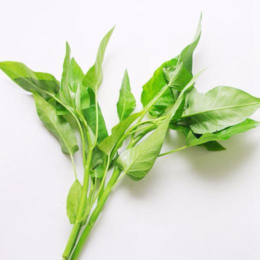 【城·食配】空心菜 0.5斤/把 商品图1