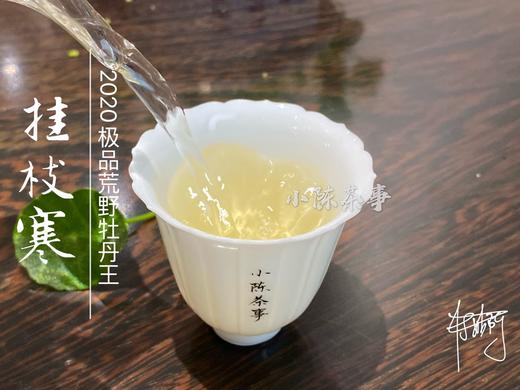 2020荒野牡丹王中的特级（60克罐装），花香与毫香中蕴在挂枝寒意里的温柔汤 商品图13