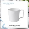 WEDGWOOD玮致活意大利浮雕骨瓷马克杯咖啡茶水杯礼盒5C104003980 商品缩略图0