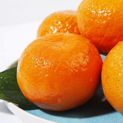 【云南苍山洱海荣柑】10个装， 皮薄甘甜多汁 商品图2