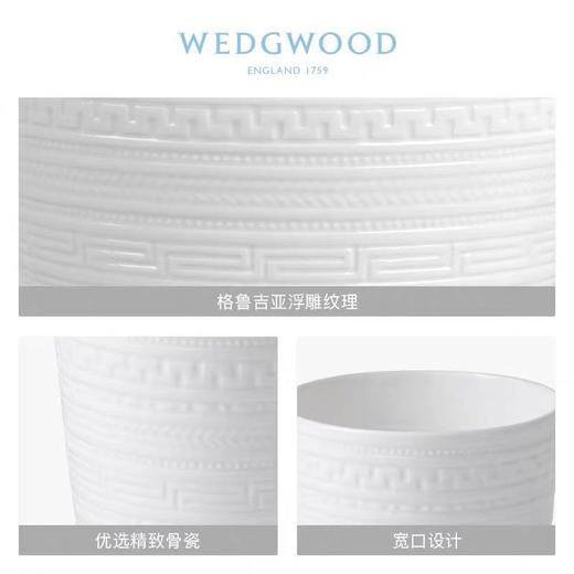 WEDGWOOD玮致活意大利浮雕骨瓷马克杯咖啡茶水杯礼盒5C104003980 商品图1