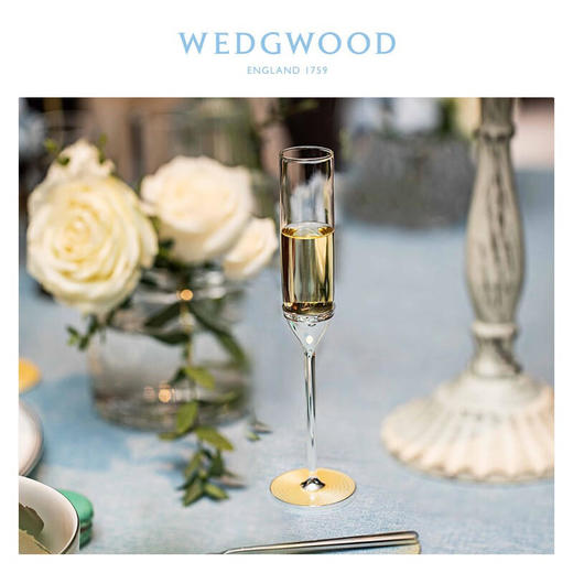 WEDGWOOD王薇薇VeraWang真爱相随银色香槟杯 商品图2