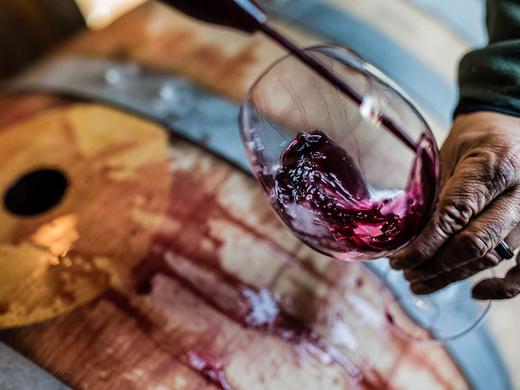 常见酿酒工艺如何影响葡萄酒的风格？ 商品图0
