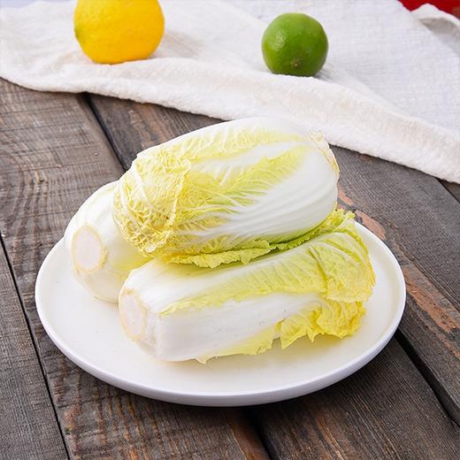 【城·食配】高山娃娃菜1.3斤/份 商品图1