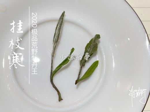 2020荒野牡丹王中的特级（60克罐装），花香与毫香中蕴在挂枝寒意里的温柔汤 商品图9