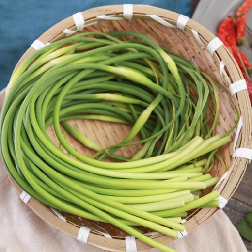【城·食配】蒜台 约1斤/把 商品图0