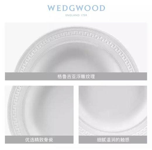 WEDGWOOD玮致活意大利浮雕骨瓷23厘米汤盘意面碗礼盒5C104005105 商品图1