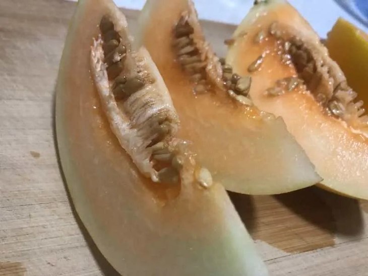 爱心助农渭南黄金蜜瓜