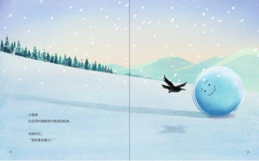 《小雪球的梦想》：如银白的雪地里有一颗小雪球。它不停的滚动，想变得跟他见过的那颗大雪球一样又大又圆。一路上，它遇见破掉的大雪球、凹凸不平的怪雪球和正在融化的雪球…… 商品图6
