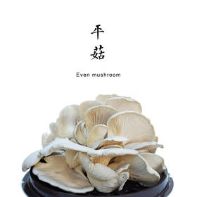 合作 | 生态小平菇 300g | 鲜嫩爽滑
