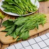 【城食配】菠菜苗 约1斤 商品缩略图1