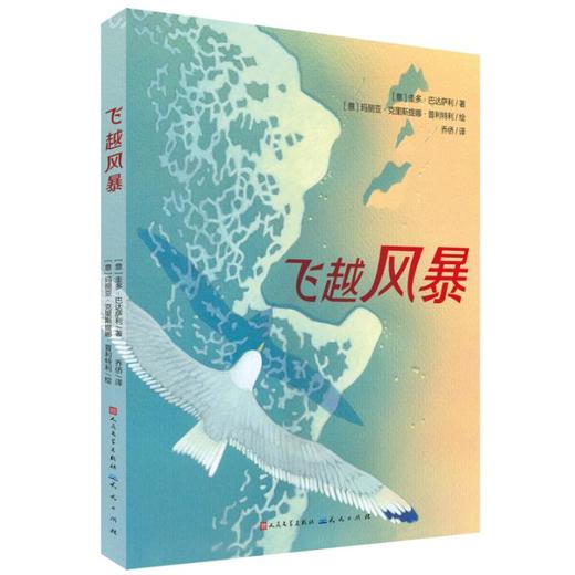 飞越风暴 商品图0