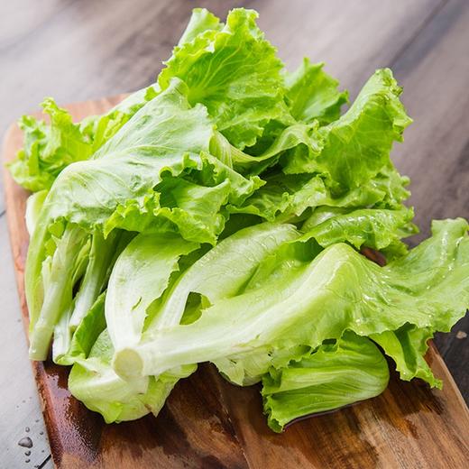 【城食配】大叶生菜 约1斤 商品图1