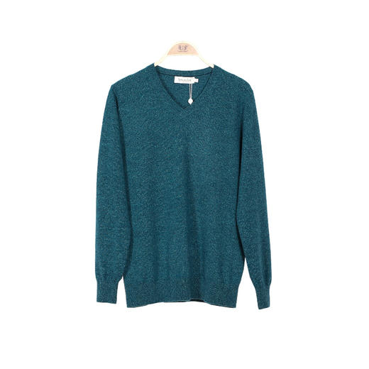 羊绒世家2020秋冬男士V领100%山羊绒衫时尚花纱内搭保暖针织毛衣 商品图10