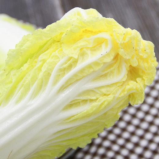 【城食配】大娃娃菜 约1.5斤 商品图1