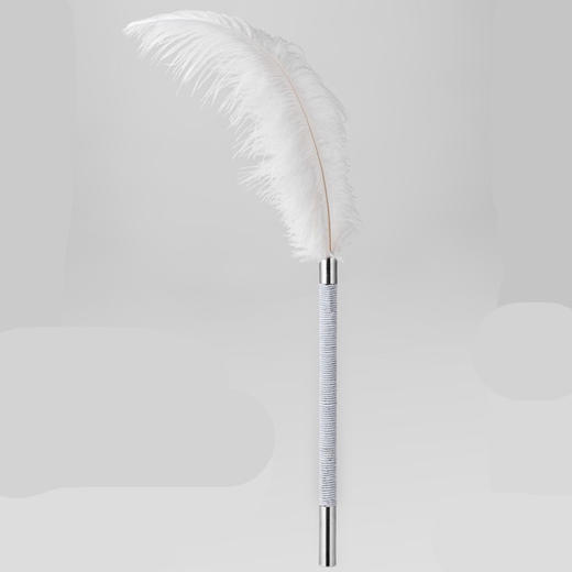 【触觉游戏】调情羽毛 高阶前戏道具 商品图2