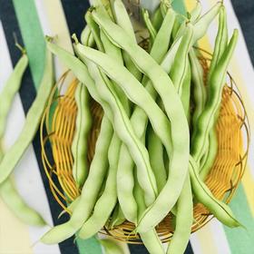 【城食配】基地白不老 约2斤