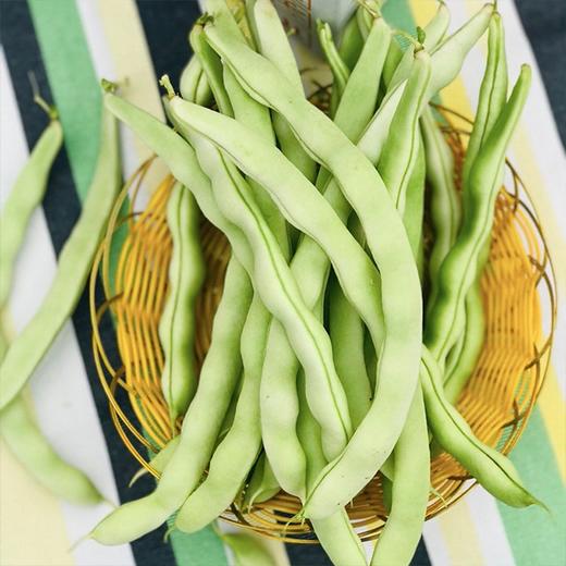 【城食配】基地白不老 约2斤 商品图0