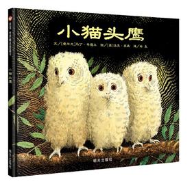 信谊 小猫头鹰 马丁·书德尔  3-6岁儿童绘本 正版