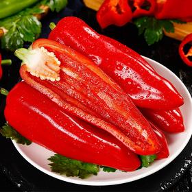 【城食配】红尖椒 约1斤