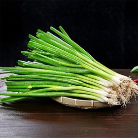 【城食配】香葱 约50g