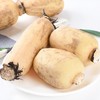 【城食配】莲藕 约1.25斤 商品缩略图1
