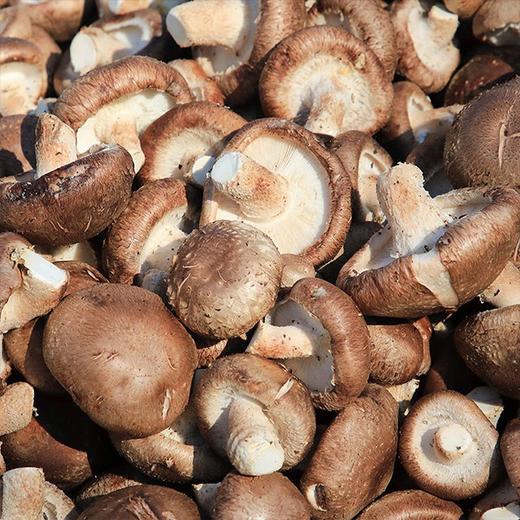 【城·食配】香菇 0.5斤/份 商品图2