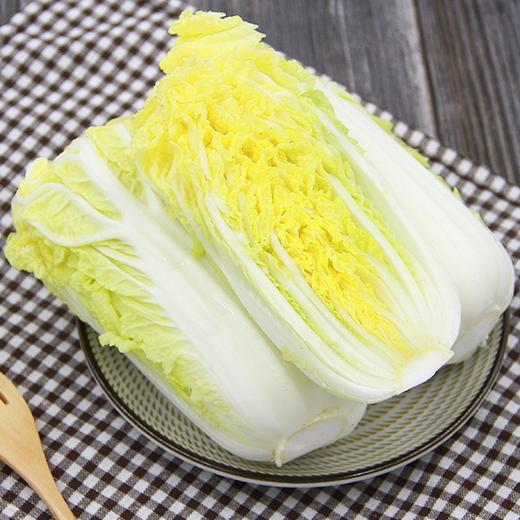 【城食配】大娃娃菜 约1.5斤 商品图0