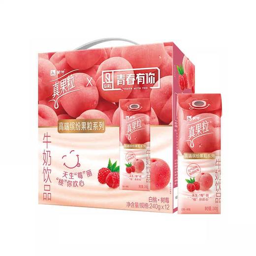 蒙牛真果粒白桃味240g*10 商品图0