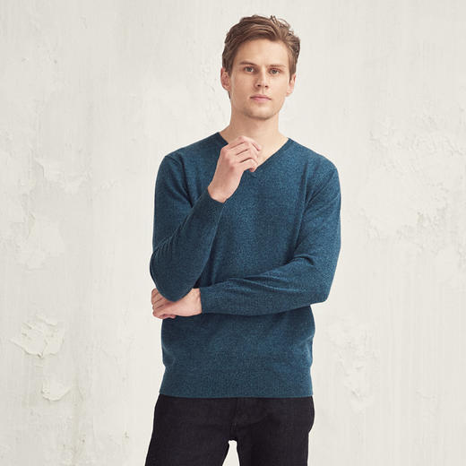 羊绒世家2020秋冬男士V领100%山羊绒衫时尚花纱内搭保暖针织毛衣 商品图1