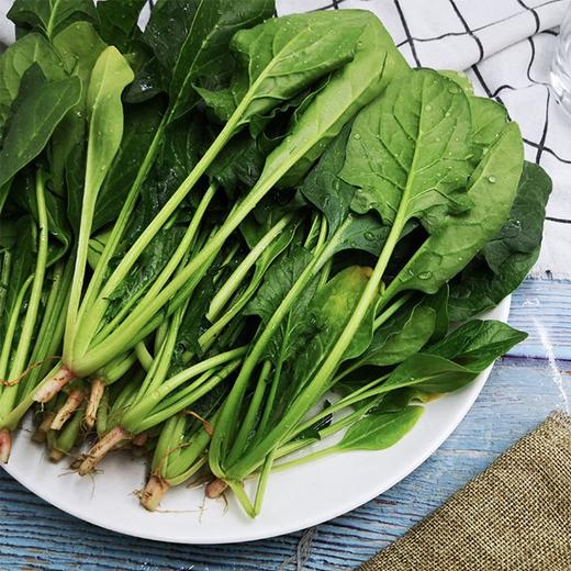 【城食配】菠菜苗 约1斤 商品图0
