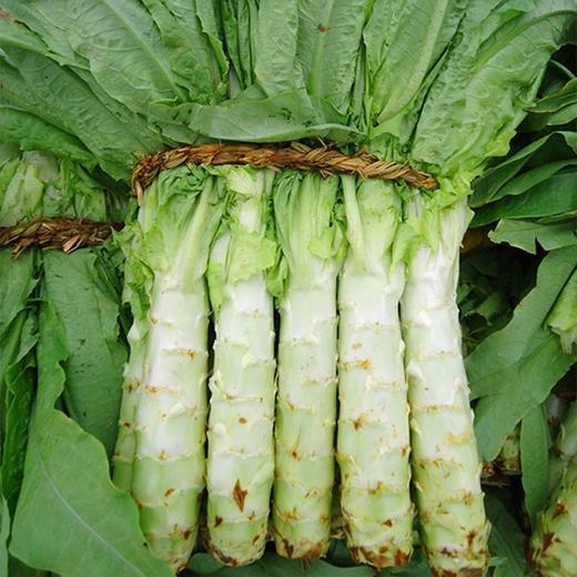 【城食配】青笋 约1.7斤 商品图1