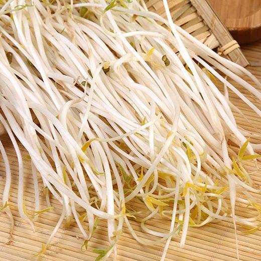 【城食配】绿豆芽 约1斤 商品图0
