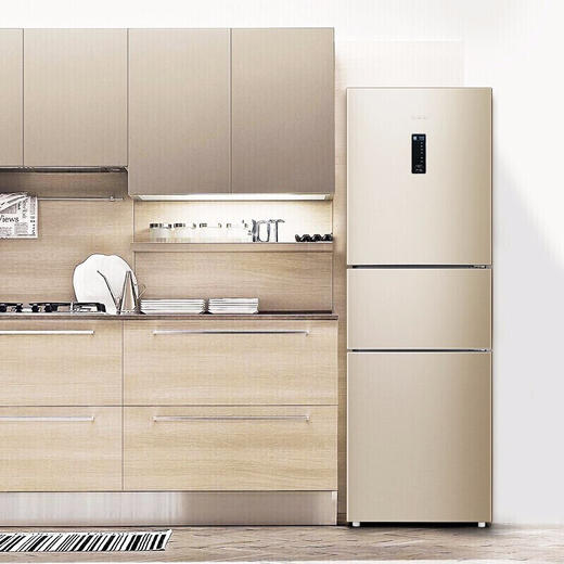 容声 冰箱  BCD-221WKD2NE 钛空金 221升 三门三温区 风冷无霜 家用节能电冰箱 商品图2