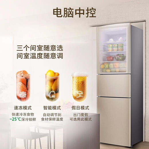 容声 冰箱  BCD-221WKD2NE 钛空金 221升 三门三温区 风冷无霜 家用节能电冰箱 商品图3