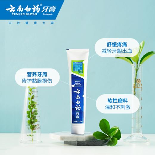 【白药精选】云南白药牙膏薄荷清爽型210g多规格可选 改善牙龈及口腔不适修复口腔问题 商品图3