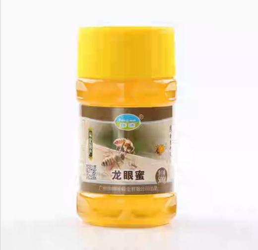 蜂唛龙眼蜜500克广东老字号 商品图2