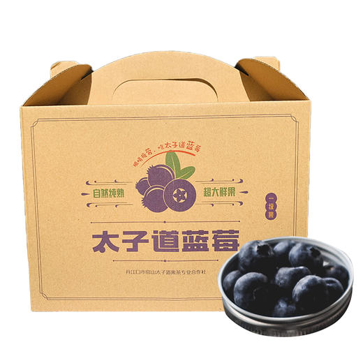 太子道一级蓝莓礼盒装750g 商品图0