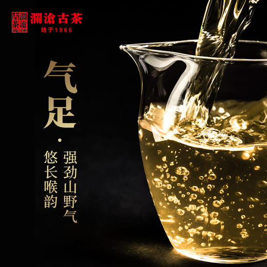 澜沧古茶2019年001小沱景迈古树春茶云南茶叶普洱茶生茶芳沱 商品图3