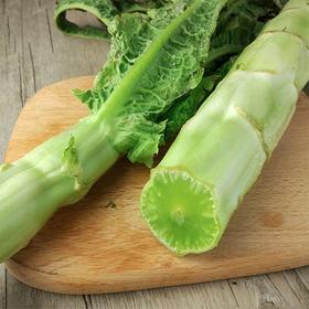 【城食配】青笋 约1.7斤